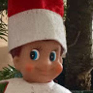 Meet your Posher, Eva